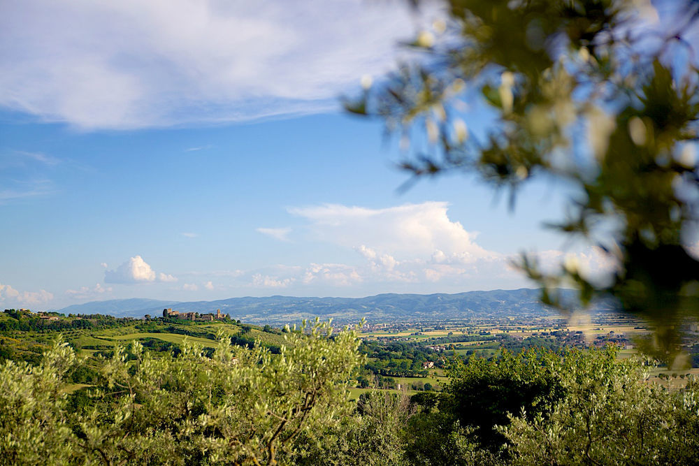 Agriturismo Le Colombe Assisi Exterior photo